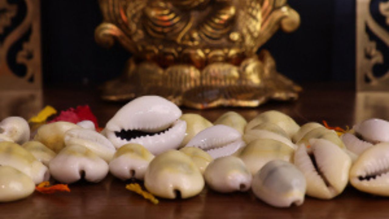 অন্যদিকে, সনাতন ধর্মে কড়িকে বিশেষ গুরুত্ব দেওয়া হয়। কড়ি পুজো ও শুভ কাজে ব্যবহার করা হয়। এছাড়া আগেকারদিনে কড়ি অর্থের জন্যও ব্যবহার করা হত। সেই রীতি এখন না থাকলেও, শুভ ও পুজোর কাজে ব্যবহার করা হয়। কথিত আছে, কড়ি রাখলে দেবী লক্ষ্মীর আশীর্বাদ বজায় থাকে। 