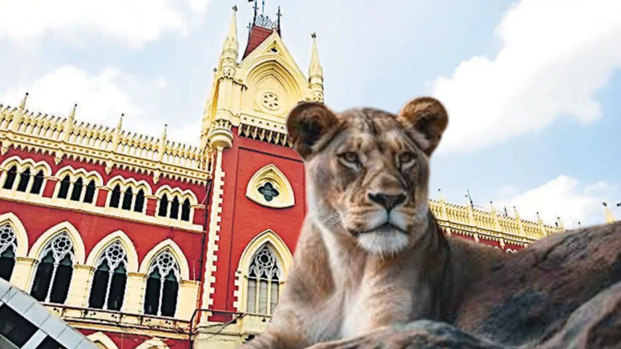 Calcutta High Court: সিংহীর নামে 'সীতা' হল কেন? মামলায় এবার রাজ্যের কাছে রিপোর্ট তলব হাইকোর্টের Calcutta High Court: সিংহীর নামে 'সীতা' হল কেন? মামলায় এবার রাজ্যের কাছে রিপোর্ট তলব হাইকোর্টের