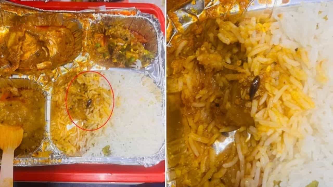 Vande Bharat Express: বন্দে ভারতে খাবারের প্লেটে মরা আরশোলা, যাত্রীর তোলা ছবি ভাইরাল Vande Bharat Express: বন্দে ভারতে খাবারের প্লেটে মরা আরশোলা, যাত্রীর তোলা ছবি ভাইরাল