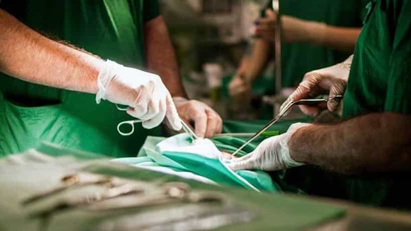 Liver Tissue Transplant: ভাই লিভার দান করবে দাদাকে, মত নেই স্ত্রীর, মামলা গড়াল হাইকোর্টে