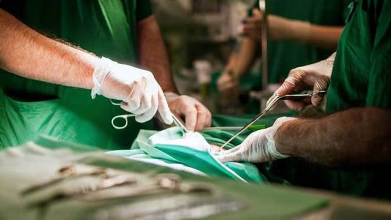 Liver Tissue Transplant: ভাই লিভার দান করবে দাদাকে, মত নেই স্ত্রীর, মামলা গড়াল হাইকোর্টে