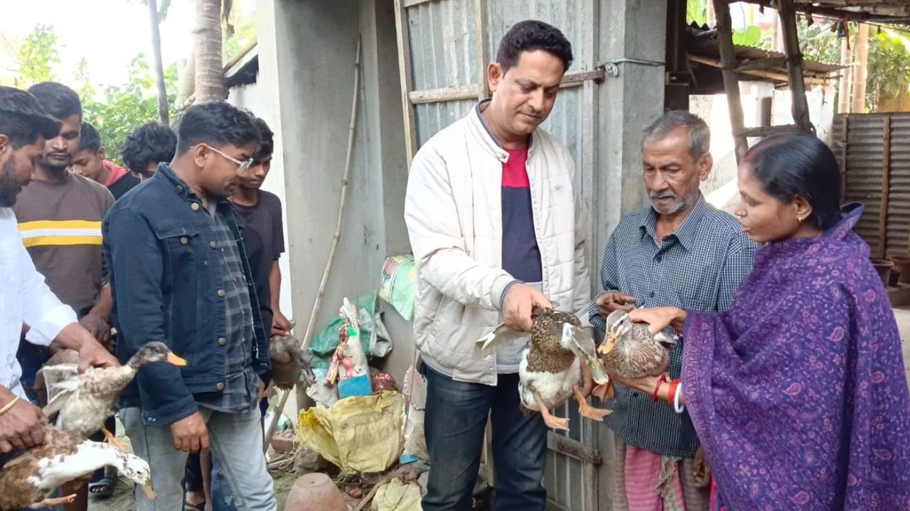 Duck Died: ডিম পাড়া হাঁসের মৃত্যুতে কেঁদে ভাসান মহিলা, ৯টি হাঁস 'উপহার' কর্মাধ্যক্ষের