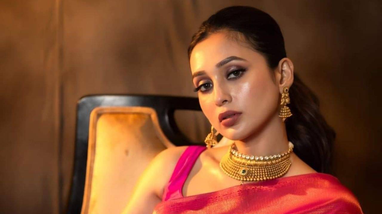 নিজের প্রিয় জিনিস ফেরাতে ঘুষ দিলেন মিমি, ভাইরাল ভিডিয়ো