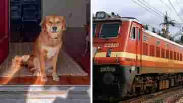 Railway Rules: ট্রেনেই তুলে নিন আপনার পোষ্যকে, কী নিয়ম আছে জানুন