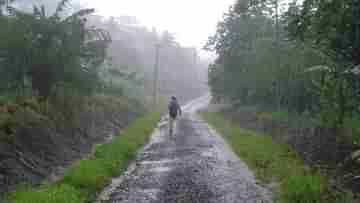 Rain in West Bengal: রাতভর প্রবল বৃষ্টি, পড়ল শিল, মাথায় হাত কৃষকদের