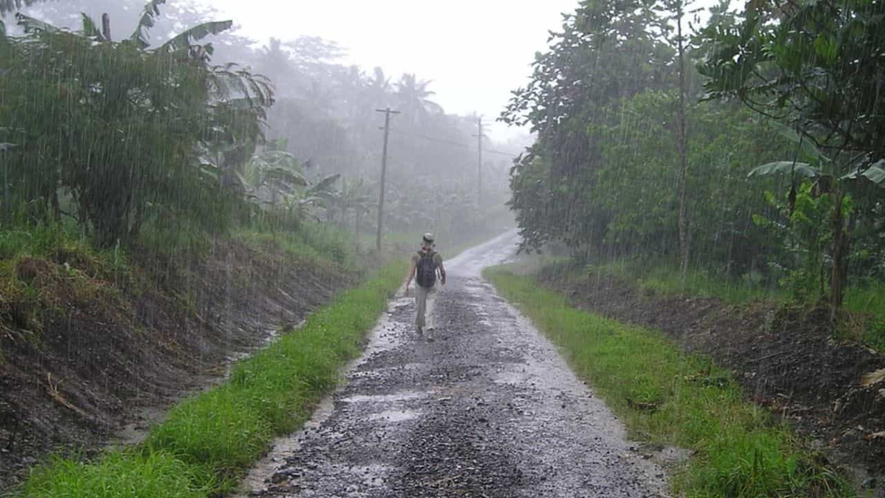 Rain in West Bengal: রাতভর প্রবল বৃষ্টি, পড়ল শিল, মাথায় হাত কৃষকদের Rain in West Bengal: রাতভর প্রবল বৃষ্টি, পড়ল শিল, মাথায় হাত কৃষকদের