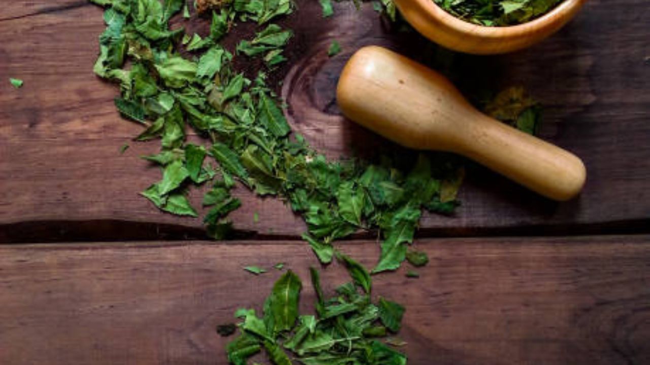 নিম একেবারেই না পসন্দ হলে এভাবে খেতে পারেন। কড়া করে নিম ভেজে নিন। একটা আলু সেদ্ধ করে নিমের সঙ্গে ভাল করে মেখে নিন। এবার গরম ভাতে খান। এই নিম আলু ভাতে খেতে লাগে বেশ 