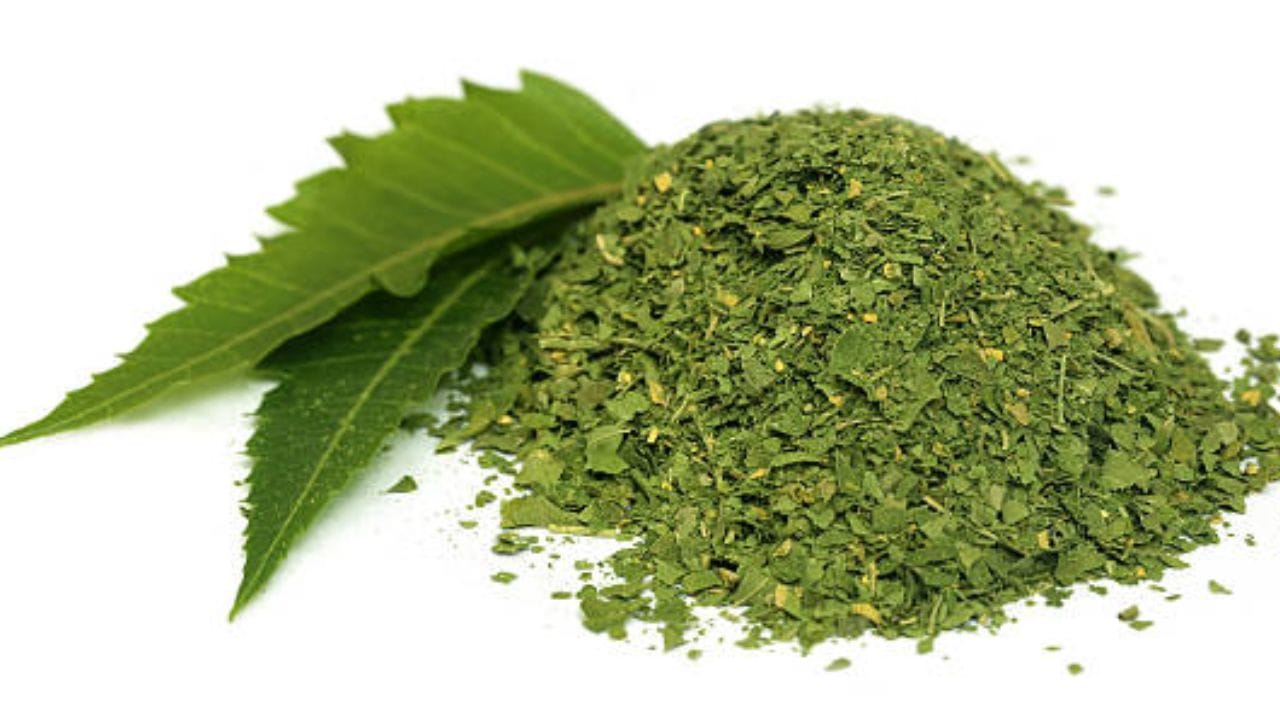 ওই তেলে কালোজিরে ফোড়ন দিয়ে আলু, রাঙাআলু দিয়ে দিন। এর পর সজনে ডাঁটা, হলুদ আর নুন দিন। গরম জল দিয়ে দিন যাতে আলু আর সজনে ডাঁটা সিদ্ধ হয়ে যায় সহজেই। সবশেষে দিন চিনি। ঝোল ফুটে উঠলে ভেজে রাখা বড়ি আর নিমপাতাগুলি দিলেই রেডি