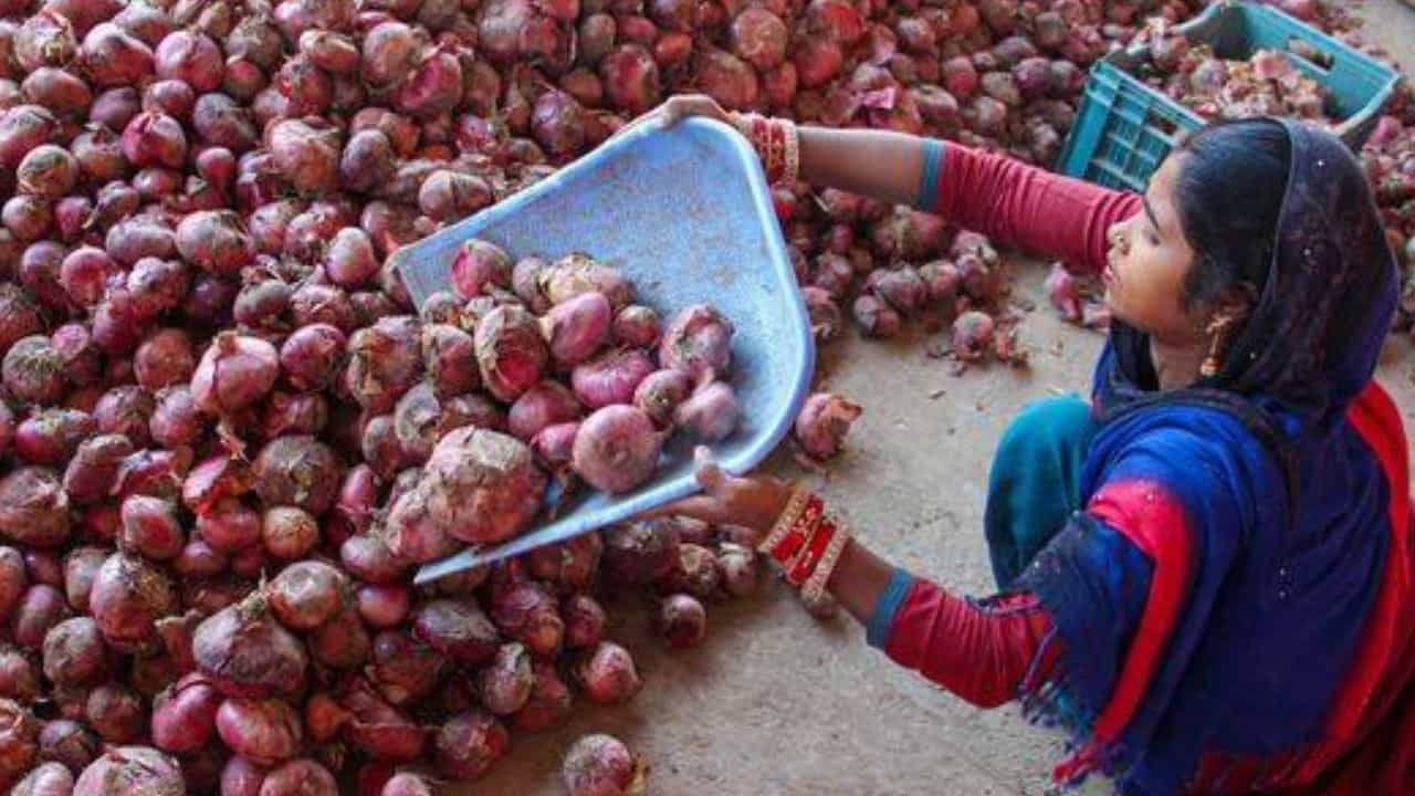 Onion Price: রসুনের পর এবার চোখে জল আনছে পেঁয়াজ, হু-হু করে বাড়ছে দাম Onion Price: রসুনের পর এবার চোখে জল আনছে পেঁয়াজ, হু-হু করে বাড়ছে দাম