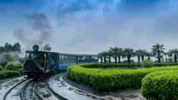 Darjeeling Toy Train: দার্জিলিঙে জয় রাইড করবেন? টয় ট্রেনের সময়সূচি, ভাড়া এবং কীভাবে টিকিট বুকিং করবেন জানুন