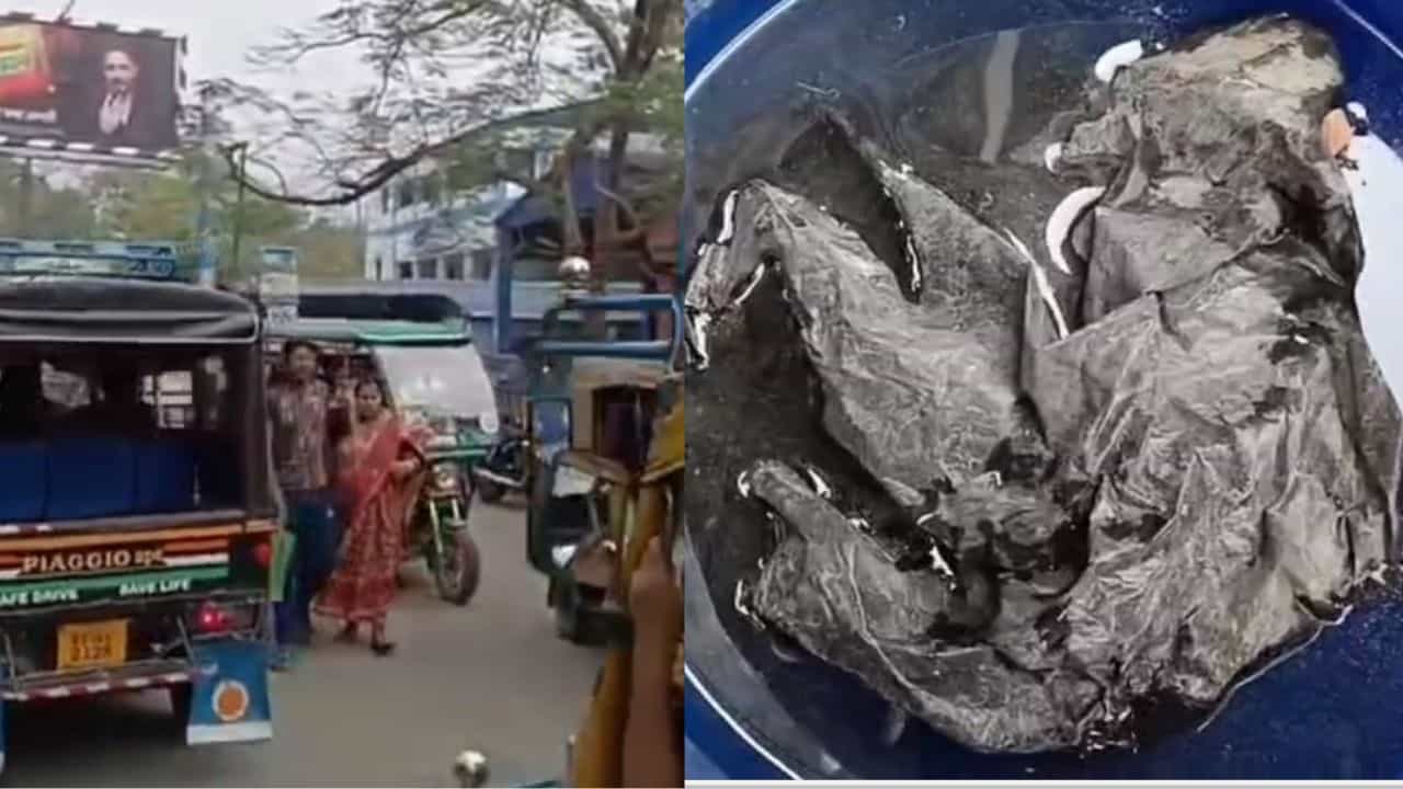 Basirhat: রাস্তায় পড়ে থাকা কালো প্লাস্টিক দেখলে সাবধান, বসিরহাটে ঘটেছে ভয়ঙ্কর কাণ্ড Basirhat: রাস্তায় পড়ে থাকা কালো প্লাস্টিক দেখলে সাবধান, বসিরহাটে ঘটেছে ভয়ঙ্কর কাণ্ড