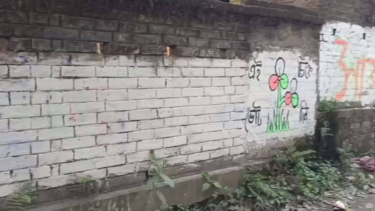 Saayoni Ghosh: এই দেওয়াল কেন মুছলি রে? সায়নীর নামে হাত লাগাতেই বেধড়ক মার ৭ বছরের নাবালককে