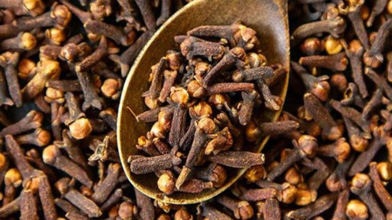 পুরুষরা কীভাবে লবঙ্গ খাবেন জানেন কি? এক্ষেত্রে শুধু চিবিয়ে খেলে হবে না। গরম জলে লবঙ্গ দিয়ে খান উপকার পাবেন। আর রাতে শোয়ার আগে লবঙ্গ খাবেন।(ছবি:Pinterest)