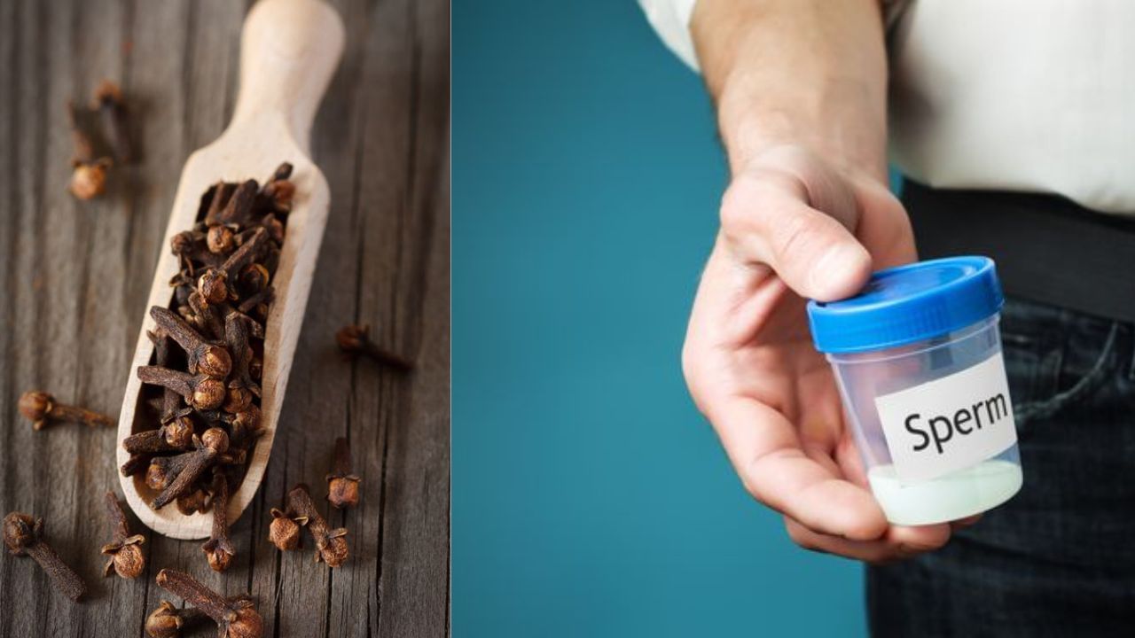স্পার্ম কাউন্ট বাড়াতে সাহায্য করে লবঙ্গ। গবেষণা বলছে, শুধু পুরুষরাই নন, লবঙ্গ খেলে উপকৃত হন মহিলারাও। (ছবি:Pinterest)