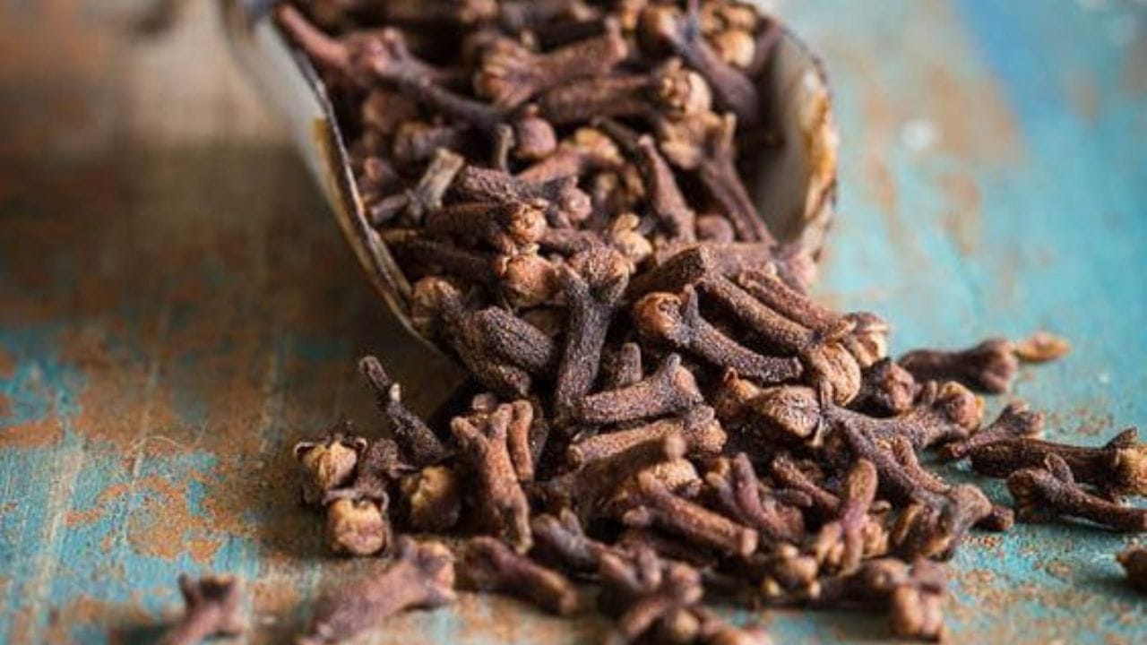 নিয়মিত লবঙ্গ সেবন পুরুষদের অকাল বীর্যপাতের সমস্যা থেকে দূর হয়। যার ফলে যৌন জীবনে উষ্ণতার অভাব হয় না। (ছবি:Pinterest)