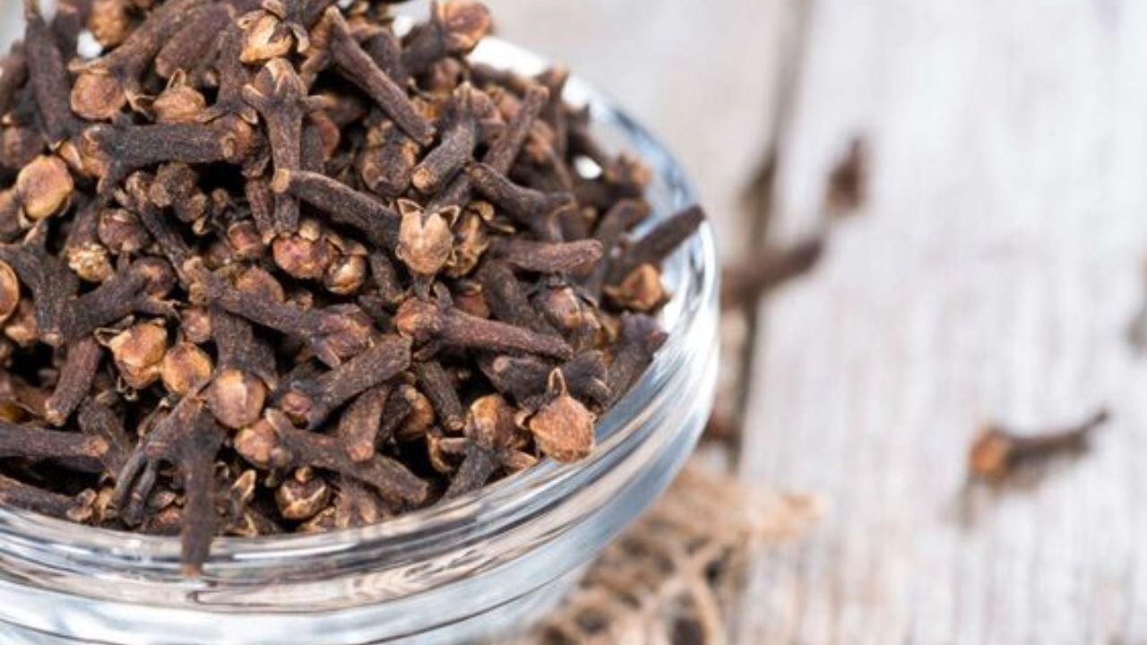 বাঙালির হেঁশেলের অন্যতম গুরুত্বপূর্ণ উপাদান লবঙ্গ। বাঙালি রান্নায় এর ব্যবহার নতুন নয়। জানেন কি শুধু রান্নার স্বাদ বাড়াতেই নয়, শরীরের জন্যও ভীষণ উপকারী লবঙ্গ। (ছবি:Pinterest)