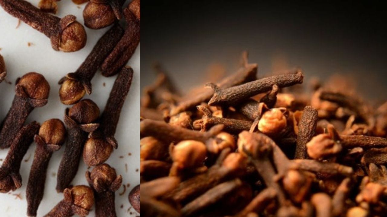 পাশাপাশি ব্যথা-বেদনা কমাতে সাহায্য করে লবঙ্গ। এতে প্রদাহরোধী বৈশিষ্ট রয়েছে যা ব্যথা থেকে দ্রুত মুক্তি দেয়। (ছবি:Pinterest)