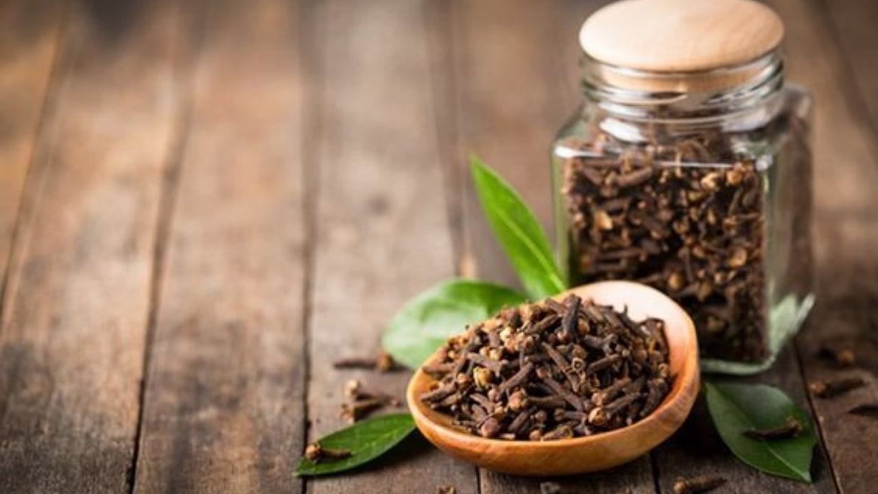 এ ছাড়া নিঃশ্বাসে দুর্গন্ধজনিত সমস্যা থেকেও মুক্তি দিতে পারে লবঙ্গ। এই সমস্যা থেকে মুক্তি পেতে মুখে এক টুকরো লবঙ্গ রাখুন। (ছবি:Pinterest)