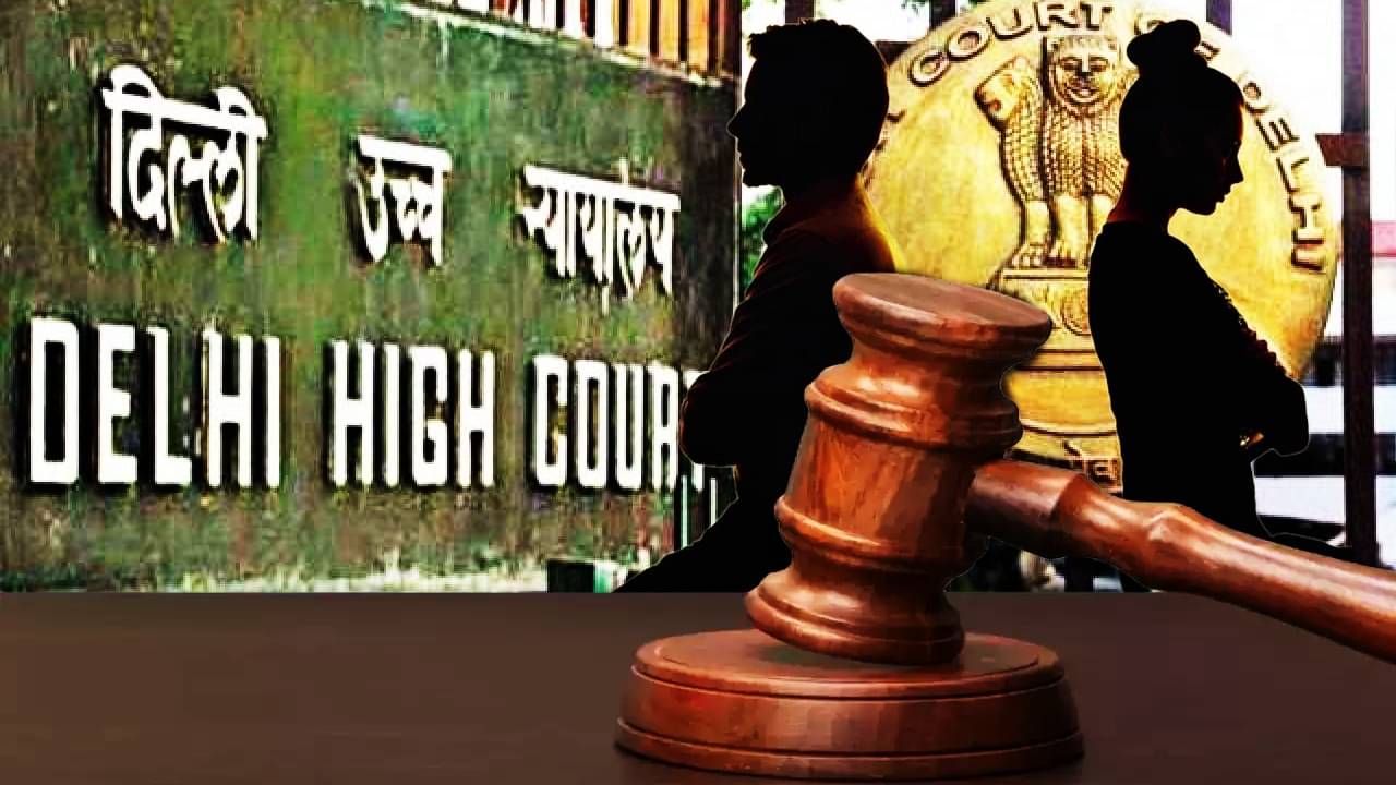 Delhi High Court: বউকে দিয়ে স্বামী ঘরের কাজ করালে তা নিষ্ঠুরতা নয়, কিন্তু বউ যদি এই কাজ করে...