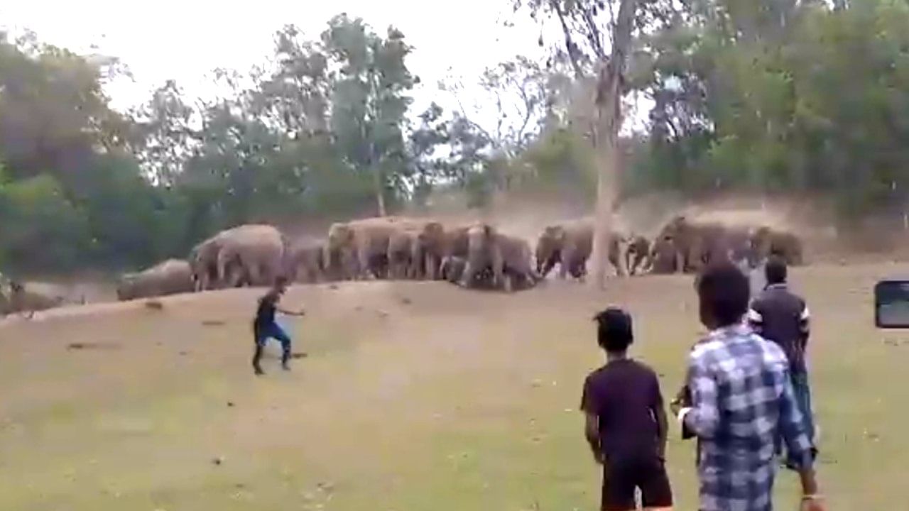 Paschim Medinipur: স্কুল থেকে আর বাড়ি ফেরা হল না শিক্ষকের, জঙ্গল ঘেরা রাস্তায় পিষে মারল দাঁতালের দল