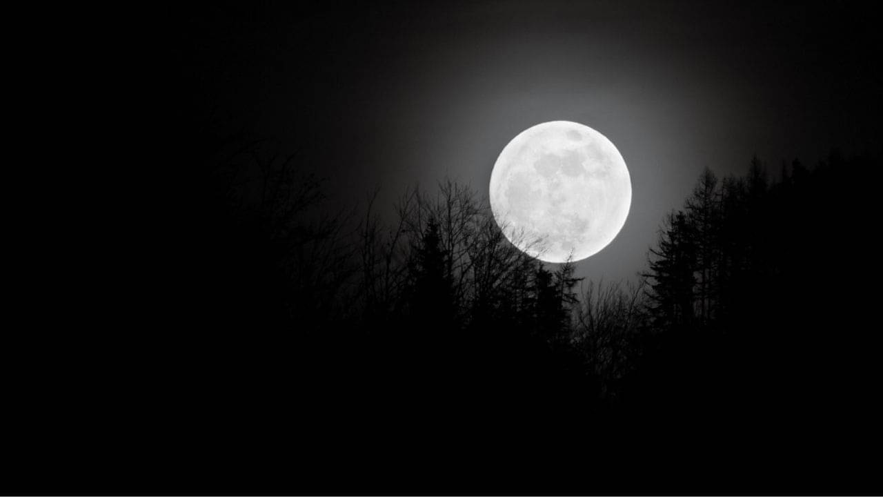 Falgun Amavasya 2024: পঞ্জিকা মতে, কবে পড়েছে ফাল্গুনী অমাবস্যা? স্নানের সময় ও গুরুত্ব কী জানুন