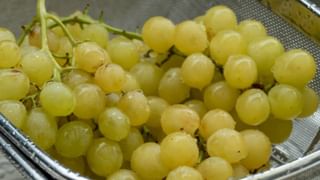 Grapes: এই ৫ টোটকায় আঙুর হবে জীবাণু মুক্ত আর টাটকাও থাকবে ৭ দিনের বেশি; পরখ করে দেখুন একবার