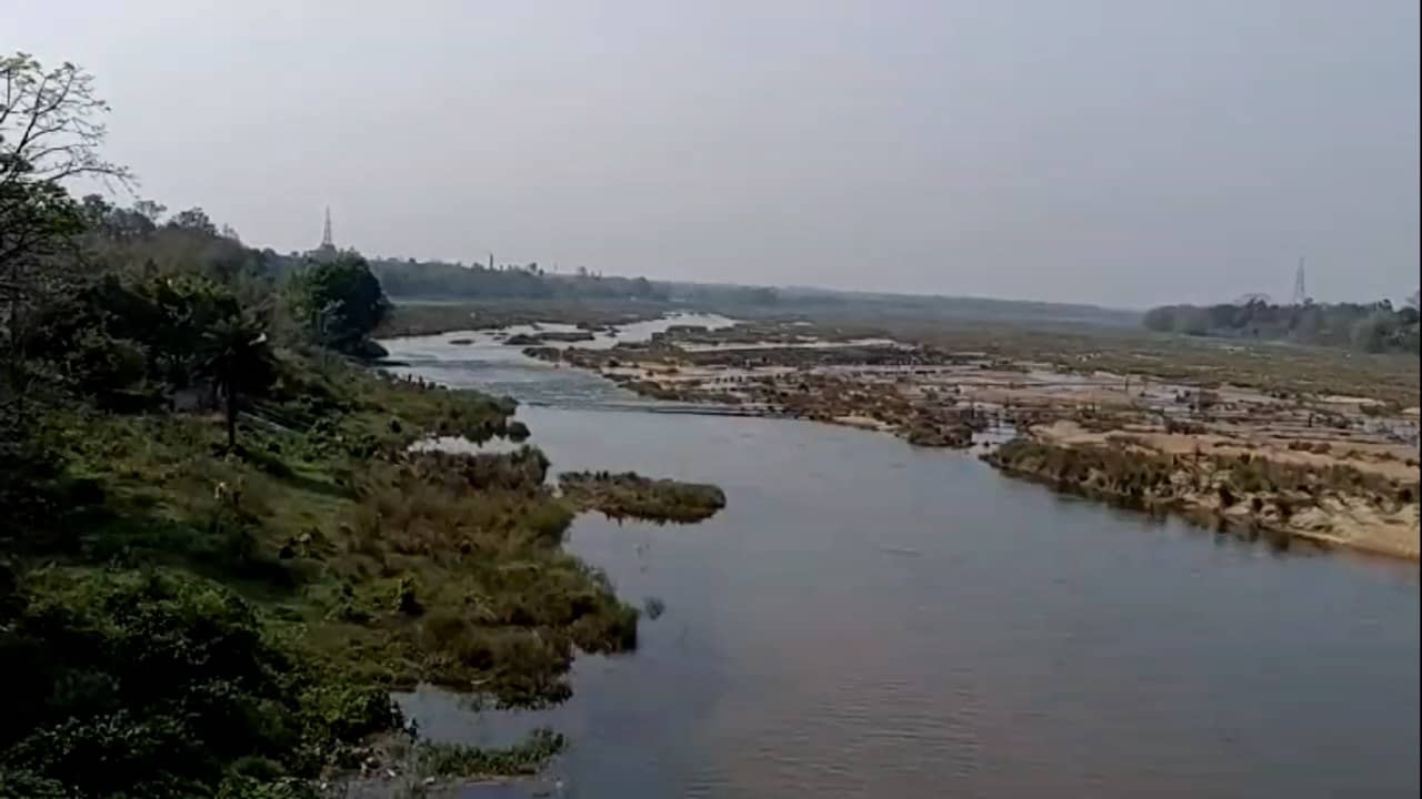 Bankura: ডুবন্ত নাতিকে বাঁচাতে গিয়ে করুণ পরিণতি, আর ঘরে ফেরা হল না বৃদ্ধের