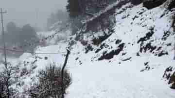 Sandakphu Snowfall: অকাল তুষারপাতে ভয়ঙ্কর সান্দাকফু, ৪০ পর্যটককে জীবিত ফিরিয়ে আনল SSB