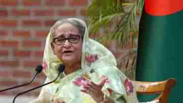 Sheikh Hasina: ভারতীয় শাড়ি পোড়াচ্ছেন না কেন?, বয়কট ভারতের ডাকের মাঝেই প্রশ্ন হাসিনার