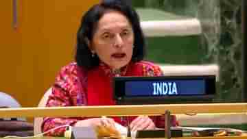 UN Resolution On Islamophobia: ইসলাম ভীতি নিয়ে রাষ্ট্রপুঞ্জে প্রস্তাবনা পাকিস্তানের, ভোট দিল না ভারত, ব্যাখ্যা করল কারণও