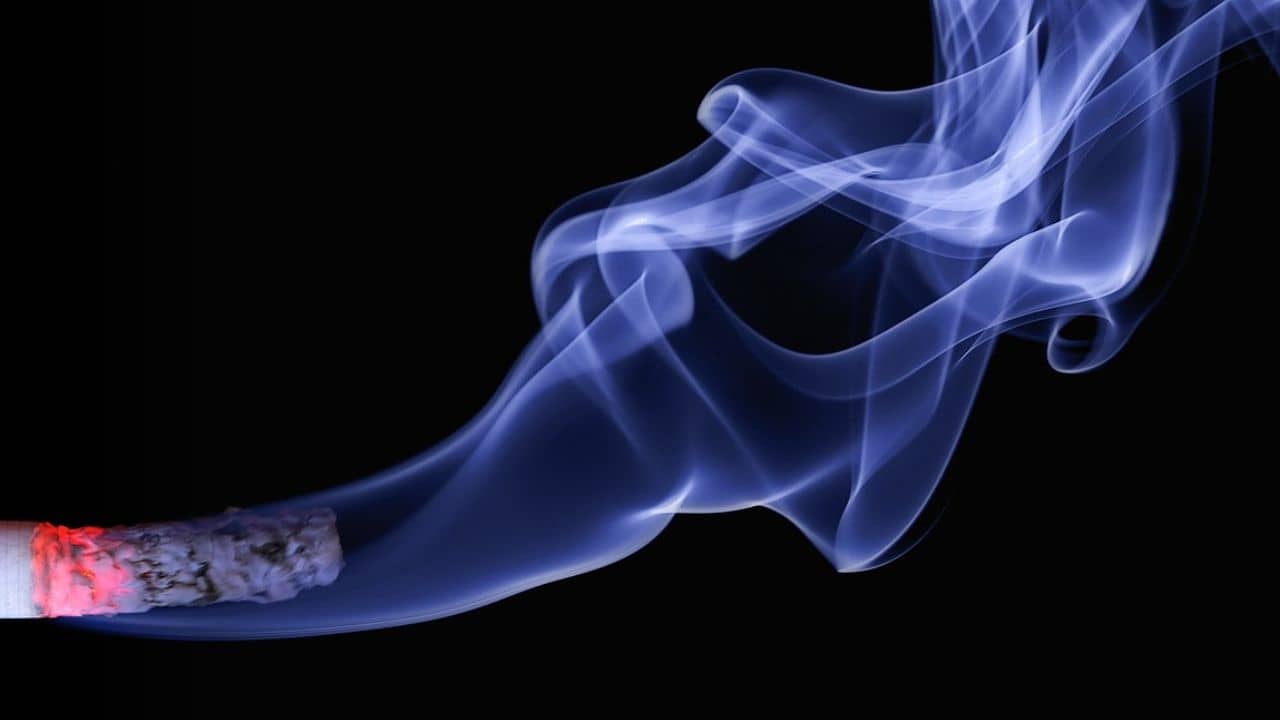 Smoking: বিমানের শৌচাগারে গিয়ে বিড়িতে সুখটান, ধোঁয়া দেখতে পেয়েই যা হল তারপর...