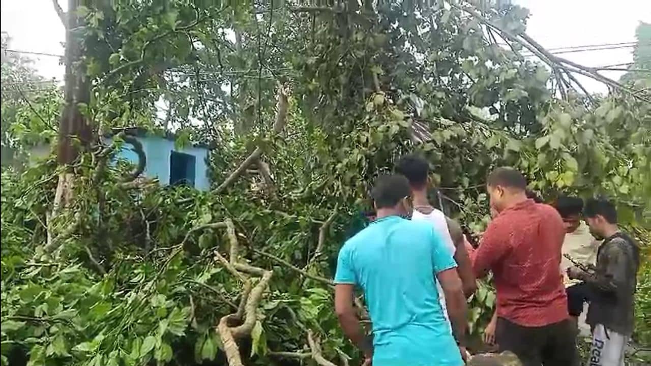 Jalpaiguri: ২০ হাজার টাকায় ঘর ছাওয়া যায়? বিরক্ত জলপাইগুড়ির দুর্গতরা