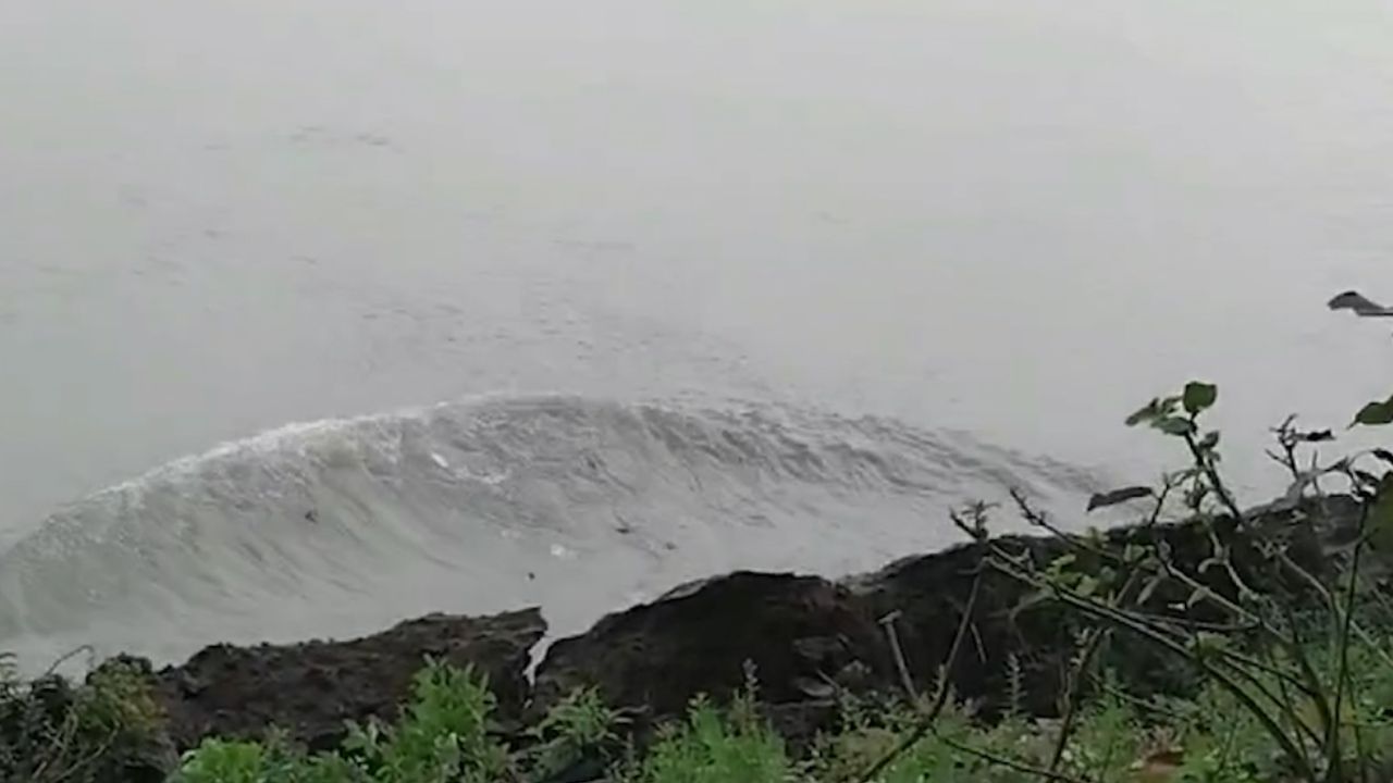 River Erosion: ফুঁসে উঠেছে ভাগীরথী, নদী ভাঙনে প্রমাদ গুনছেন কালনার বাসিন্দারা