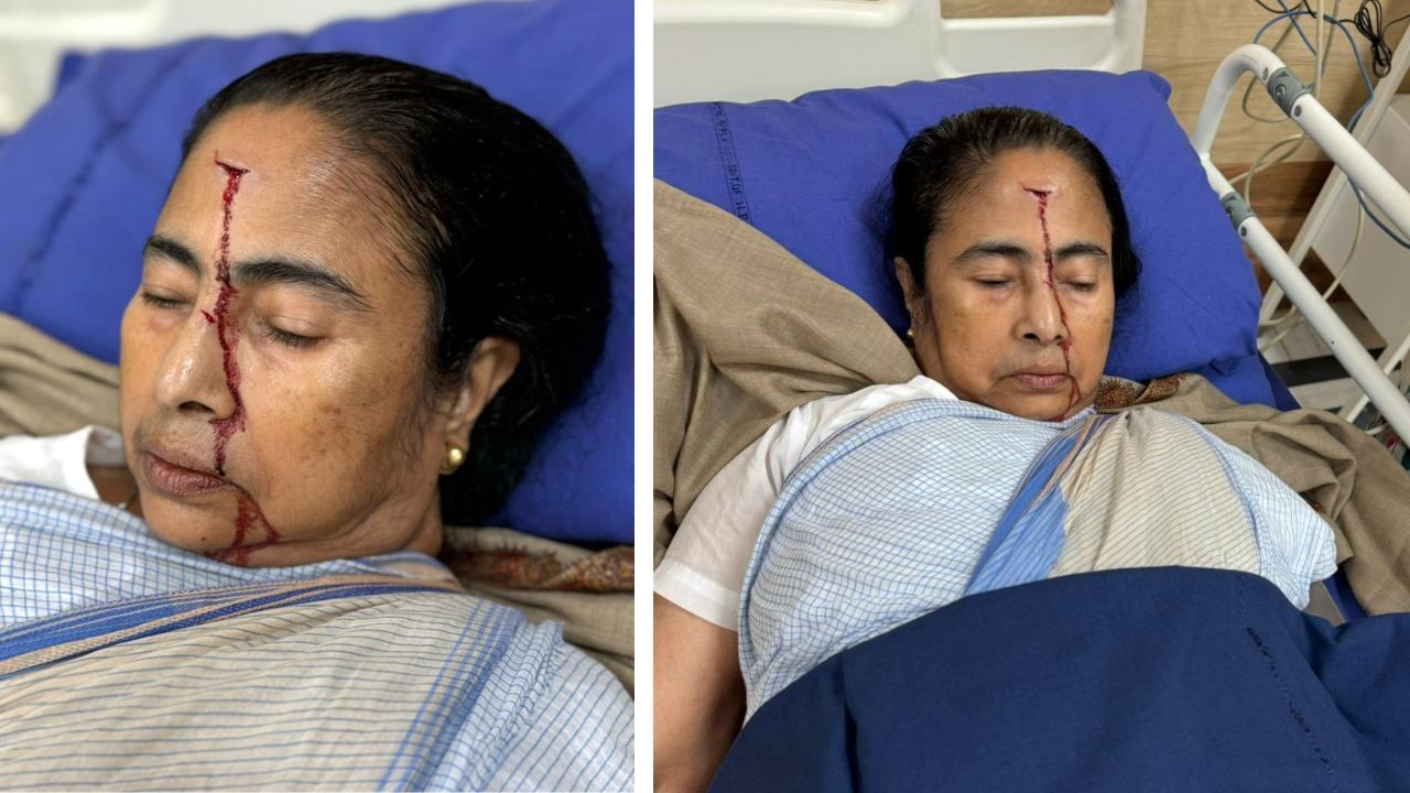 Large_Image_mamata banerjee tmc