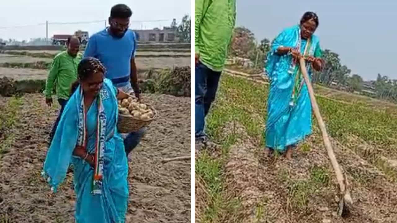 Arambag Loksabha kendra: মাঠে লাঙল হাতে তৃণমূল প্রার্থী, তুললেন আলু; ভোটপ্রচারে নেমে হইহই ফেলে দিয়েছেন Arambag Loksabha kendra: মাঠে লাঙল হাতে তৃণমূল প্রার্থী, তুললেন আলু; ভোটপ্রচারে নেমে হইহই ফেলে দিয়েছেন