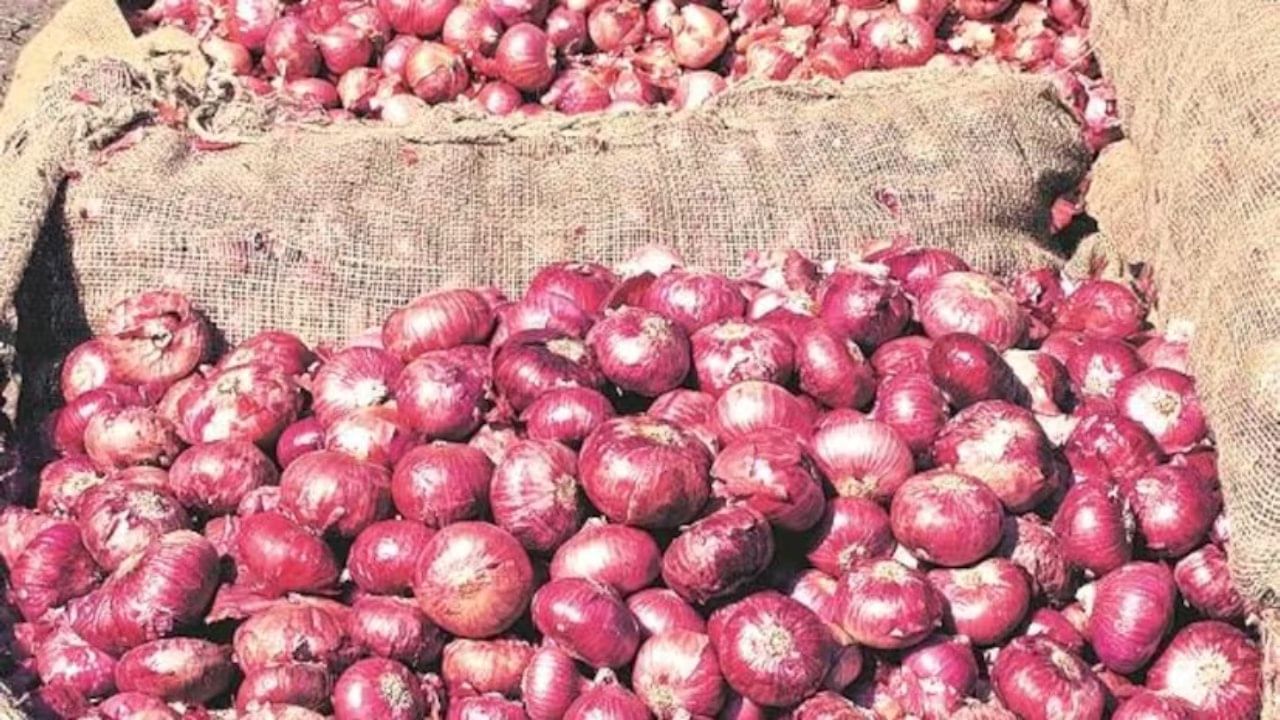 Onion price: পেঁয়াজের দামে লাগাম টানতে বড় পদক্ষেপ, হোলিতেই যেন বড় ‘উপহার’ সরকারের