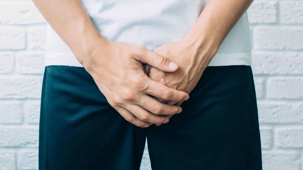 Testicular Pain: অণ্ডকোষে ব্যথা হলে কী করবেন Testicular Pain: অণ্ডকোষে ব্যথা হলে কী করবেন
