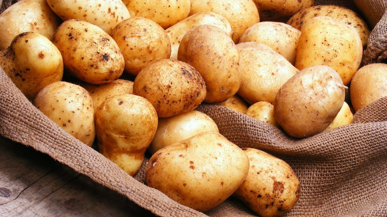Potato Astro3