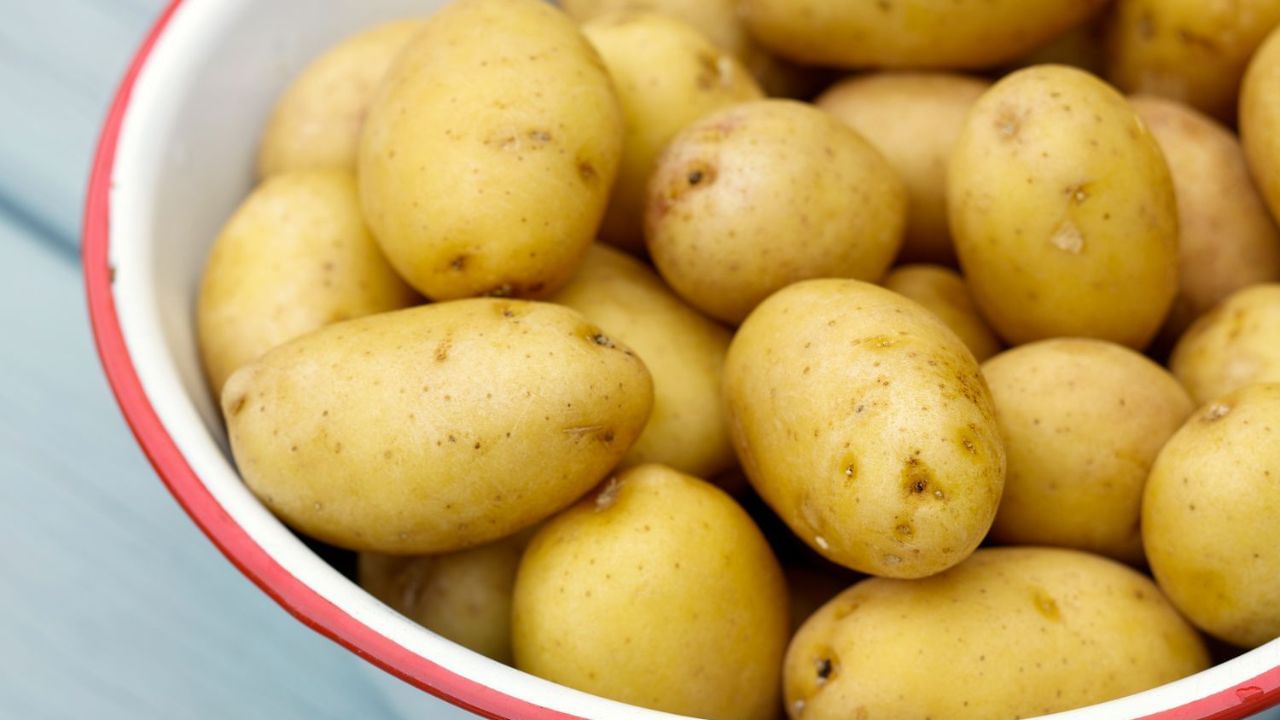 Potato Astro5