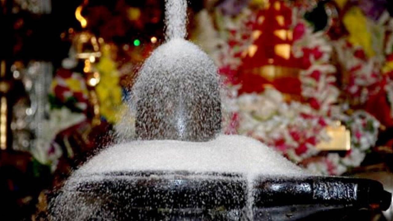 Mahashivratri 2024: শিবের রুদ্রাভিষেকের সময় গঙ্গাজলে দিন শুধুমাত্র এই জিনিস, সুখ-শান্তি-সমৃদ্ধি বাড়বে তরতরিয়ে