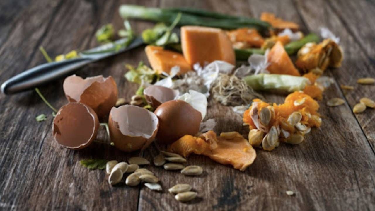 ফেলে দেওয়া জিনিস দিয়েই আপনি খেয়াল রাখতে পারবেন মস্তিষ্কের। পকেট ফাঁকা করে দামি খাবার কেনার দরকারই নেই।