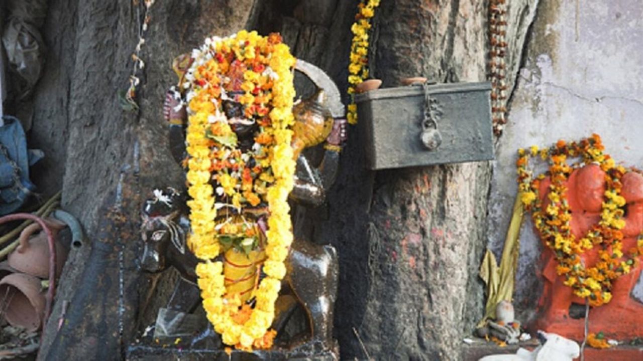 Shani Uday 2024: হোলির আগে ব্যবসা-কেরিয়ারে আমূল বদল, স্বাস্থ্যও যাবে মন্দ! শনির উদয়ে সমূহ বিপদের মুখে ৩ রাশি