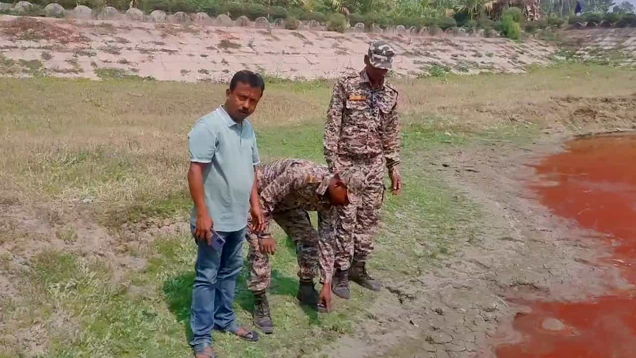 Dhupguri: ধূপগুড়িতে ঘুরে বেড়াচ্ছে বিশালকায় অচেনা জন্তু, ভয়ে ঘরে খিল এলাকাবাসীর Dhupguri: ধূপগুড়িতে ঘুরে বেড়াচ্ছে বিশালকায় অচেনা জন্তু, ভয়ে ঘরে খিল এলাকাবাসীর