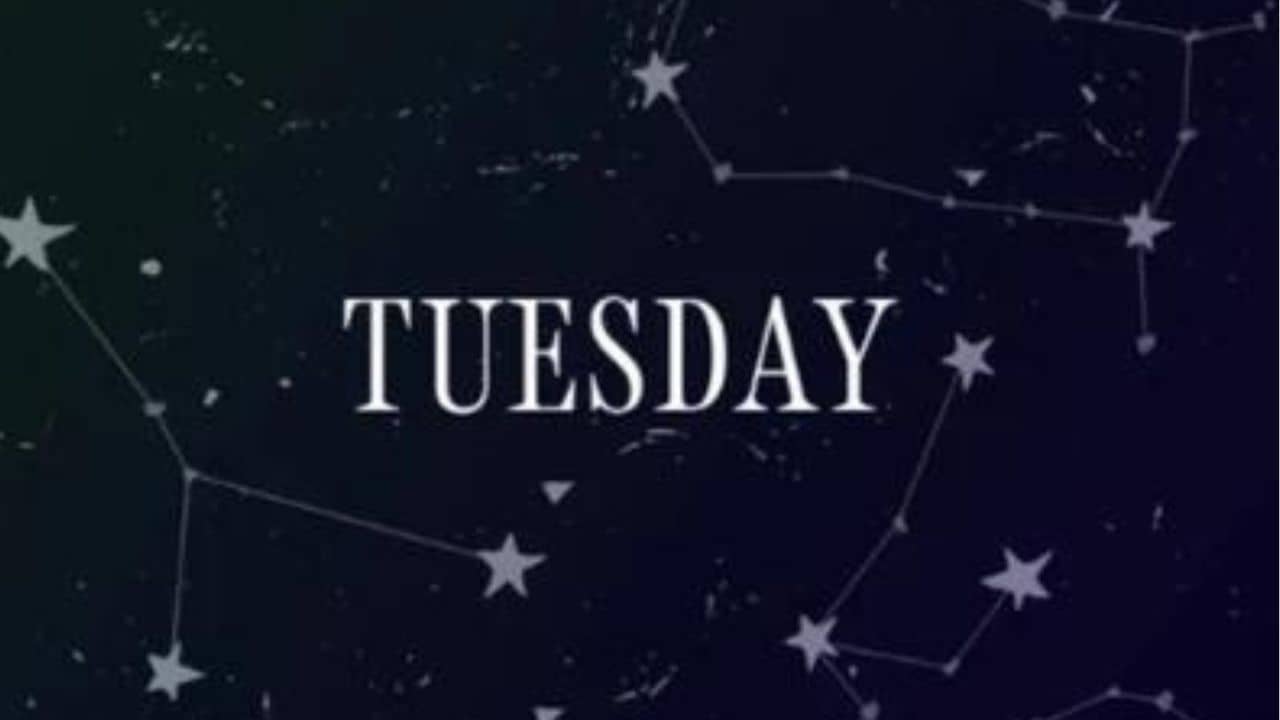 Today Horoscope 19th March, 2024: চাকরি থেকে ব্যবসা, সবকিছু কেমন যাবে আপনার? পড়ুন রাশিফল