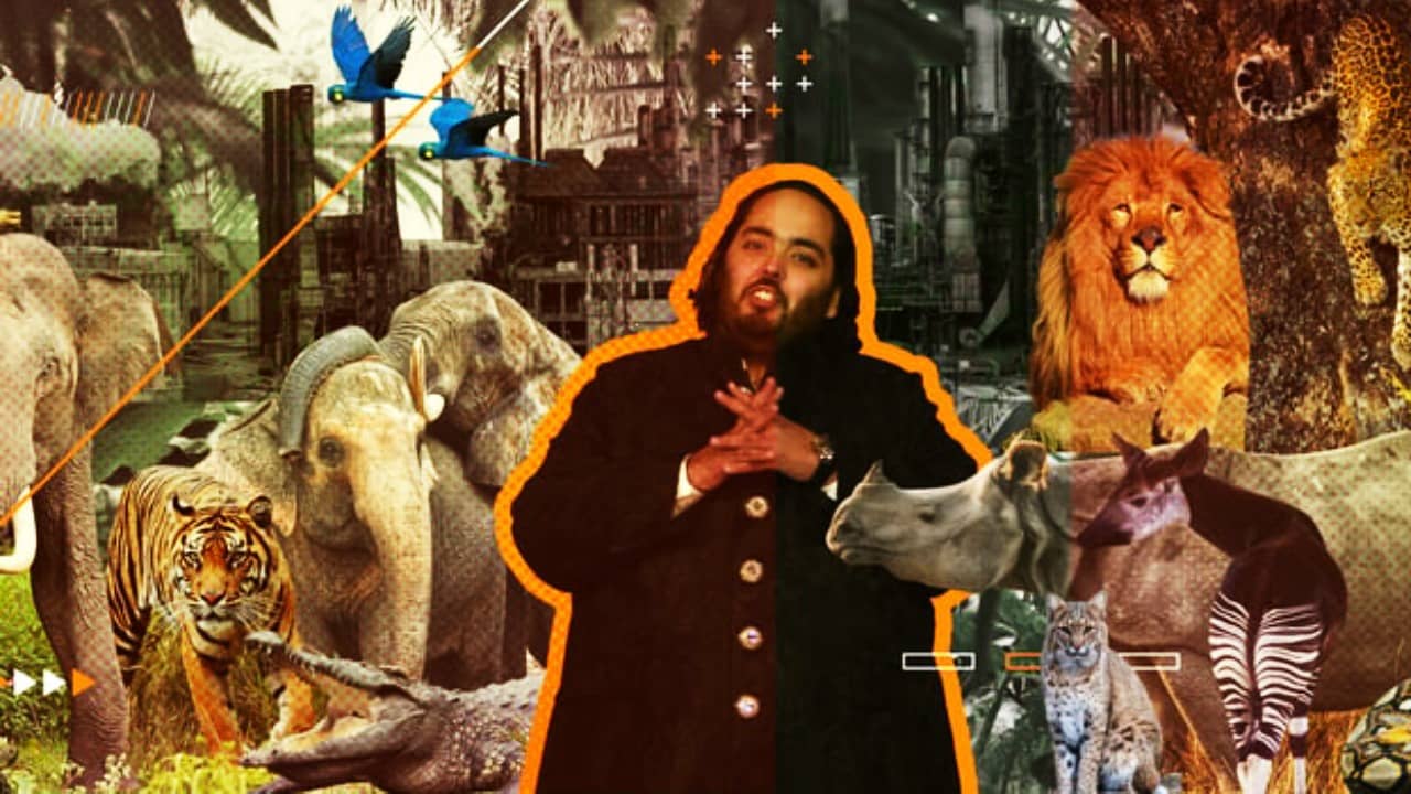 Vantara: কেন রাজ্যের চিড়িয়াখানা থেকে পশুপাখি চলে যাচ্ছে রিলায়েন্সের বনতারায়? মিলছে না উত্তর