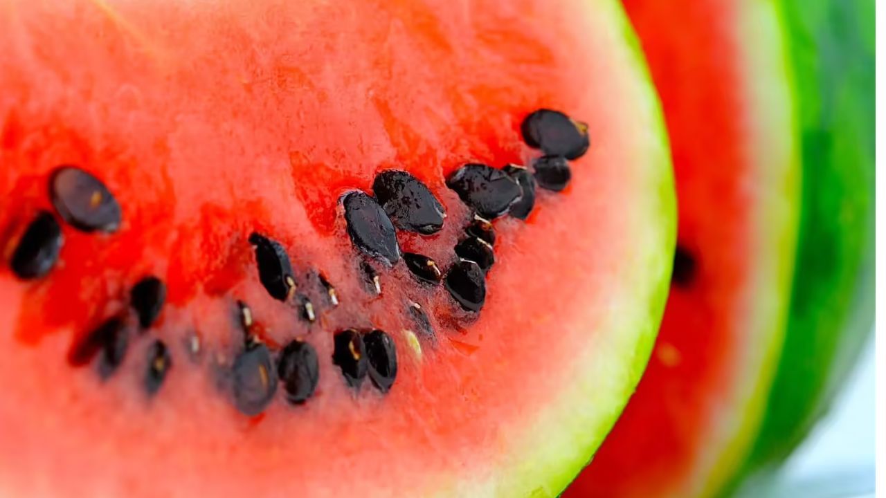 Benefits of Watermelon Seeds: তরমুজের থেকেও বেশি উপকারী! কালো বীজের গুণ জানলে আর কখনও ফেলবেন না