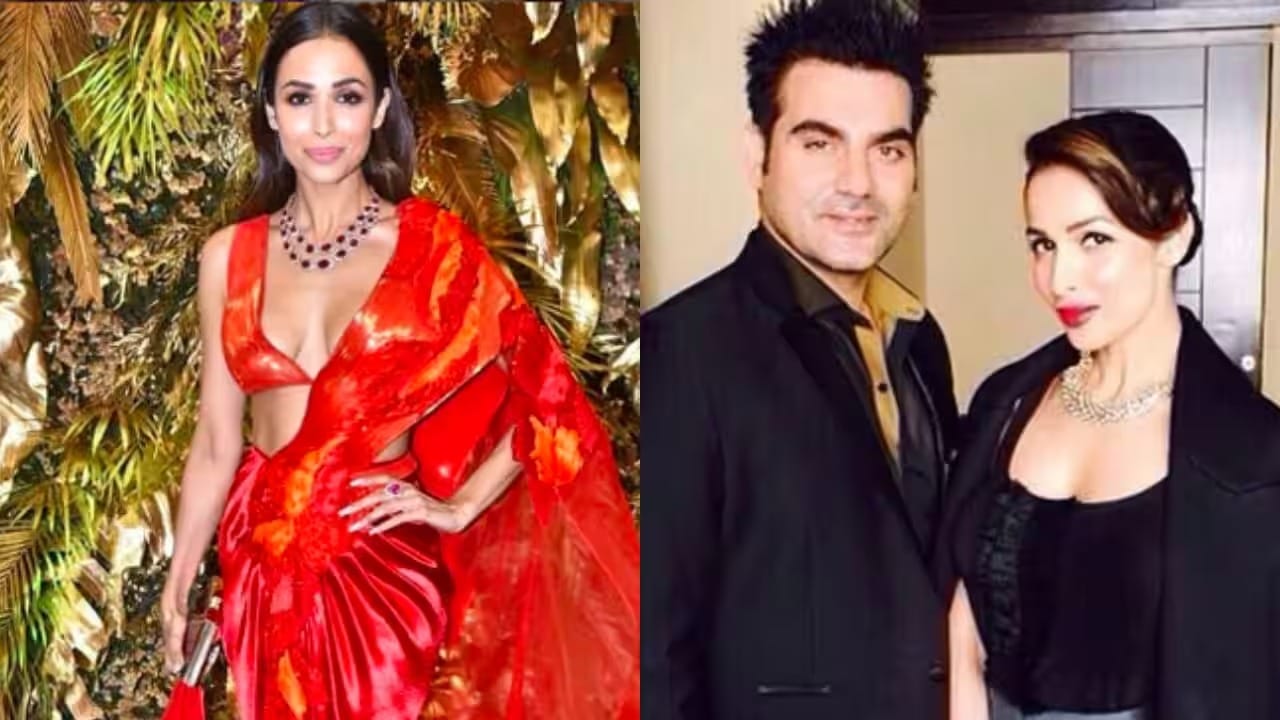 মালাইকা আরোরা, খান পরিবারের পুত্রবধূ হয়েছিলেন আরবাজ খানকে ভালবেসে। বিয়ের পর সবটাই চলছিল বেশ ভালই। মাঝে মধ্যে পর্দায় দেখাও যেত তাঁকে। এক পুত্র সন্তানের জন্ম দিয়েছিলেন মালাইকা আরোরা। 