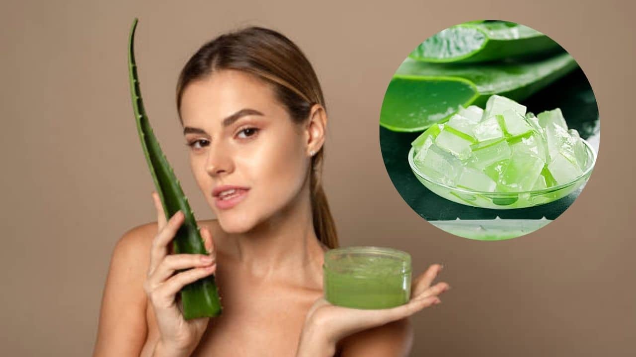 Aloe Vera: গরমে অ্যালোভেরা দিয়ে রুখে দিন ত্বকের সমস্যা, জেল ছাড়া আর কোন উপায়ে ব্যবহার করবেন?