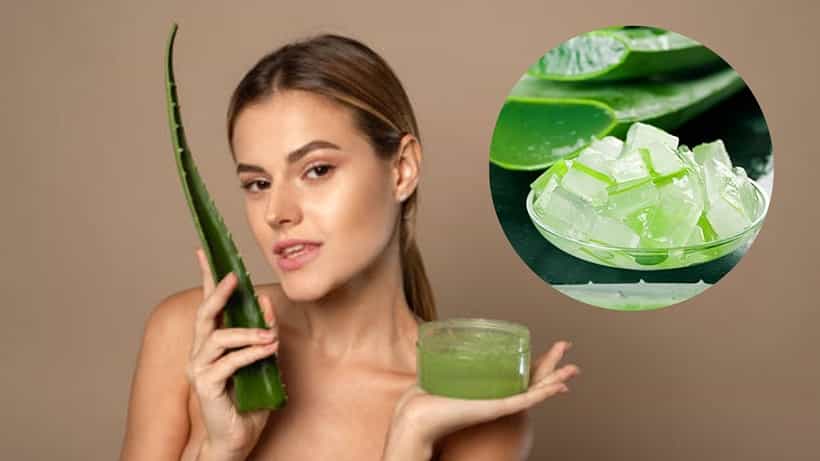 Aloe Vera: গরমে অ্যালোভেরা দিয়ে রুখে দিন ত্বকের সমস্যা, জেল ছাড়া আর কোন উপায়ে ব্যবহার করবেন?
