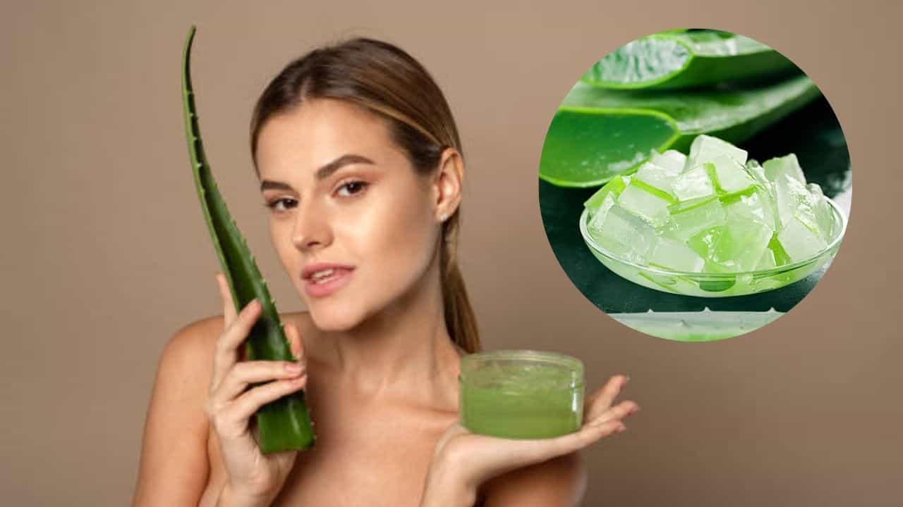 Aloe Vera: গরমে অ্যালোভেরা দিয়ে রুখে দিন ত্বকের সমস্যা, জেল ছাড়া আর কোন উপায়ে ব্যবহার করবেন?